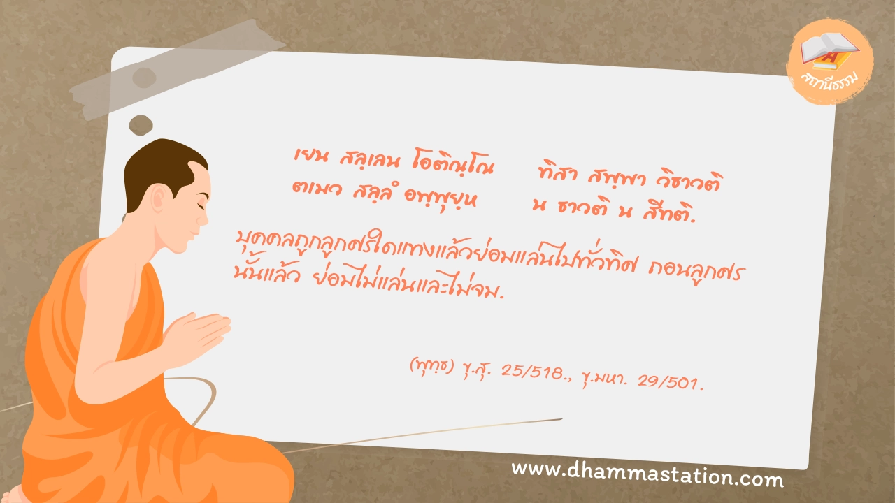 เยน สลฺเลน โอติณฺโณ ทิสา สพฺพา วิธาวติ ตเมว สลฺลํ อพฺพุยฺห น ธาวติ น สีทติ.